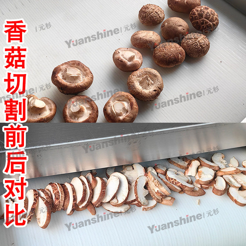 厂家热销小型滚刀切丝机 鱼排切丝机 全自动豆角切段机