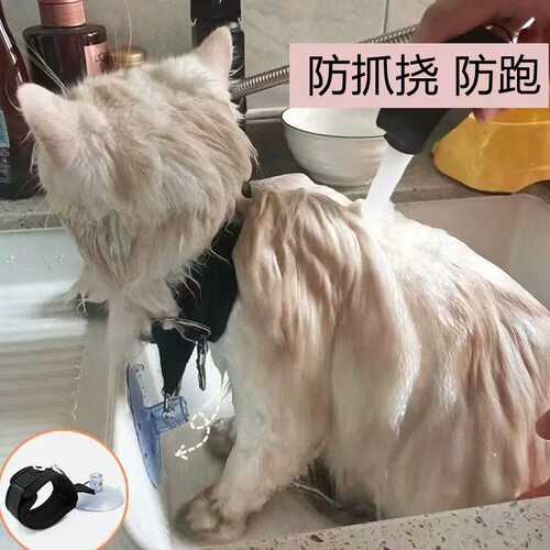 热卖可调节宠物猫咪洗澡固定器美容清洁工具防抓防乱动