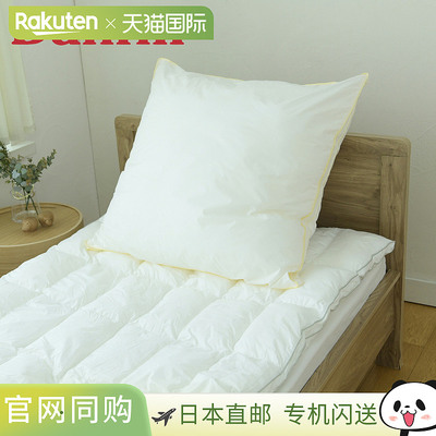 Danfill 枕头 寝具 Fyher Cushion Pillow 80×80cm 可洗 JPA124Z
