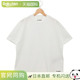 SANDER 有机棉 日本直邮JIL 恤女士J40GC0 J45048
