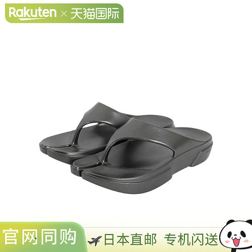 PAES 人字拖鞋 paes-01-GUNMETAL NOA WIS
