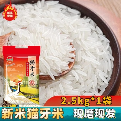 1-20斤长粒香大米猫牙米