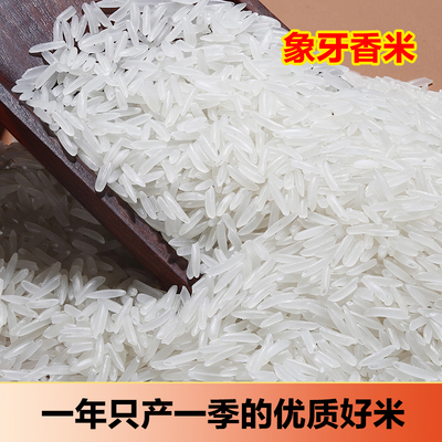 当季新米猫牙米象牙茉莉香米