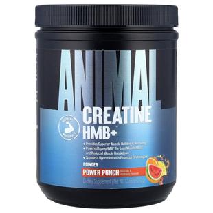 Creatine HMB Power 12.06 Punch ? Animal 342 Powder