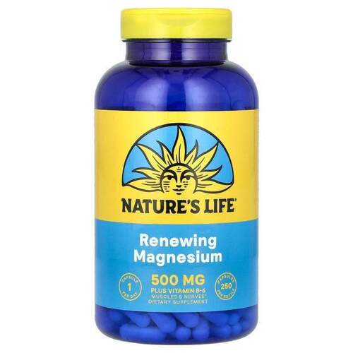 Nature's Life,镁，500 毫克，100 粒素食胶囊