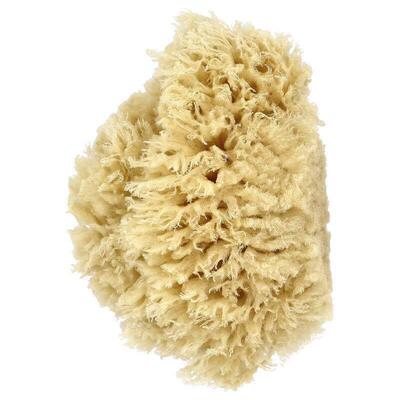 Baby Buddy,Natural Premium Sea Wool Bath Sponge,