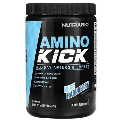 Nutrabio Labs,Amino Kick，Baja Burst，0.6 磅（271 克）