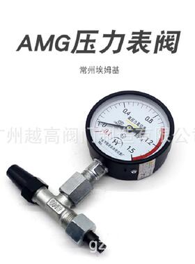 压力表阀丙烷氨氟制冷高端阀门直通直角表阀RVY6/RVT10