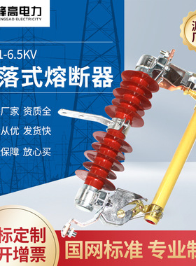 dingzhi厂家供应 RW11-6.5kv户外高压跌落式熔断器批发控制与保护