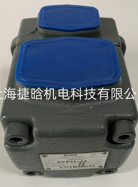 TCH VANE PUMP 液压站油泵 PVF4-153-F-R 定量叶片泵 机械设备泵