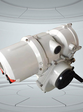 智能一体化阀门电动装置 IKT500 IKT1000 罗托克