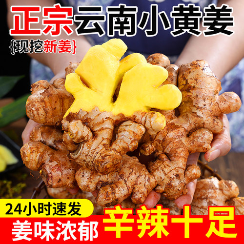 2026云南小黄姜9斤当季新鲜生姜现挖高山沙姜老姜土姜月子姜蔬菜1