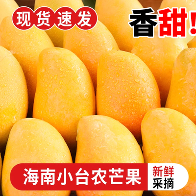 【官方甄选】5A特级小台芒爆甜！