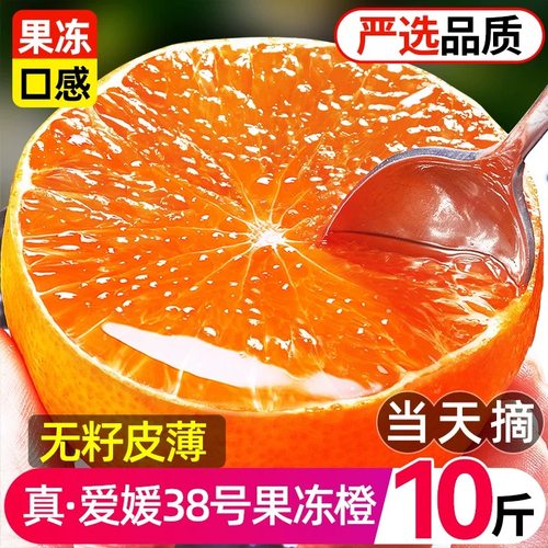 【官方甄选】爱媛果冻橙正宗爆甜