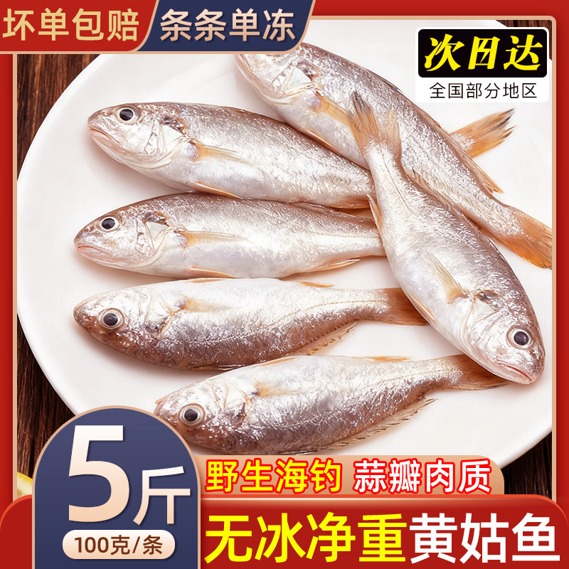 海捕小黄鱼新鲜冷冻黄花鱼黄姑鱼黄鱼苗黄鱼仔海鲜水产鲜活速冻