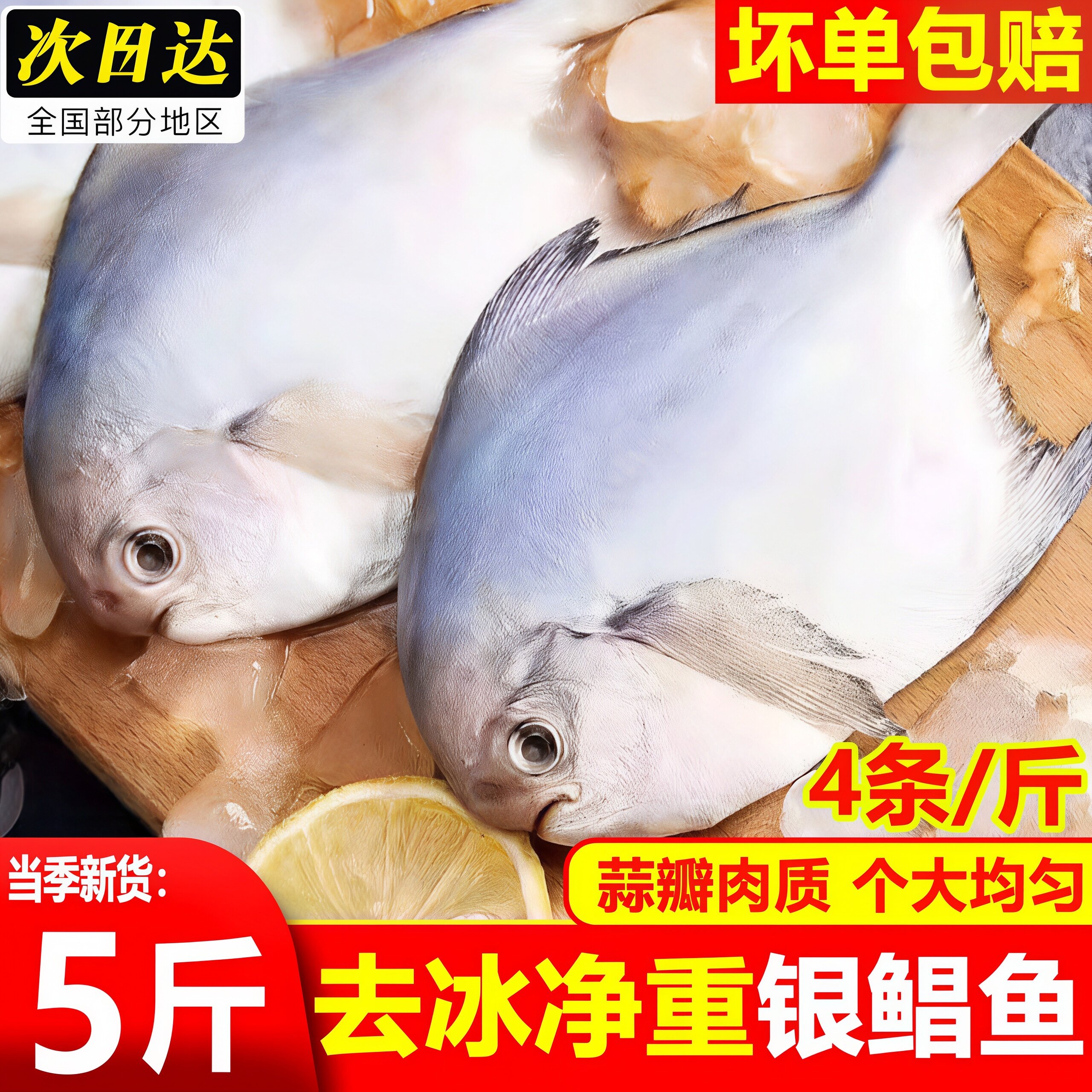 银鲳鱼新鲜冷冻鲜活海捕鲳鱼昌鱼白鱼平鱼鳊鱼海鱼海鲜非金鲳顺丰