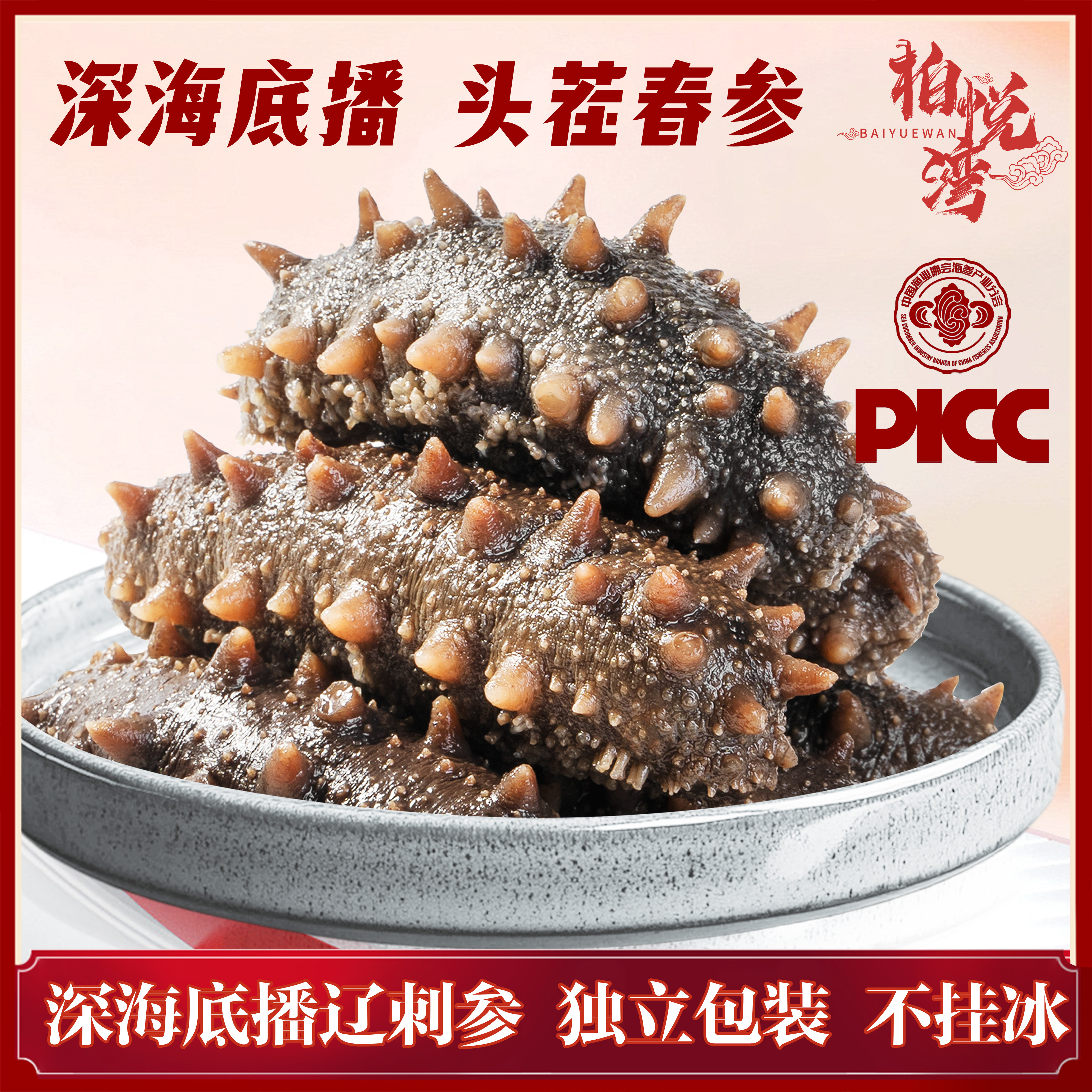 大连鲜食海参顺丰包邮买一送一