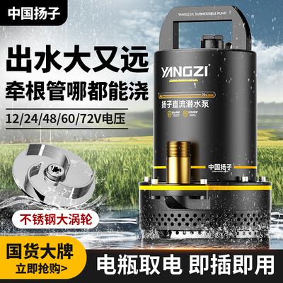 12v抽水泵48v电动车抽水泵电动车专用大功率农用灌溉直流潜水泵72