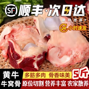 牛肉新鲜牛窝骨带肉红烧牛大骨头牛膝盖非内蒙古整箱冷冻牛肉商用