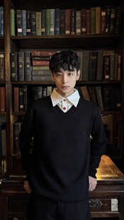 ONEER 高智感V领假两件polo氛围感高级老钱针织毛衣情侣款