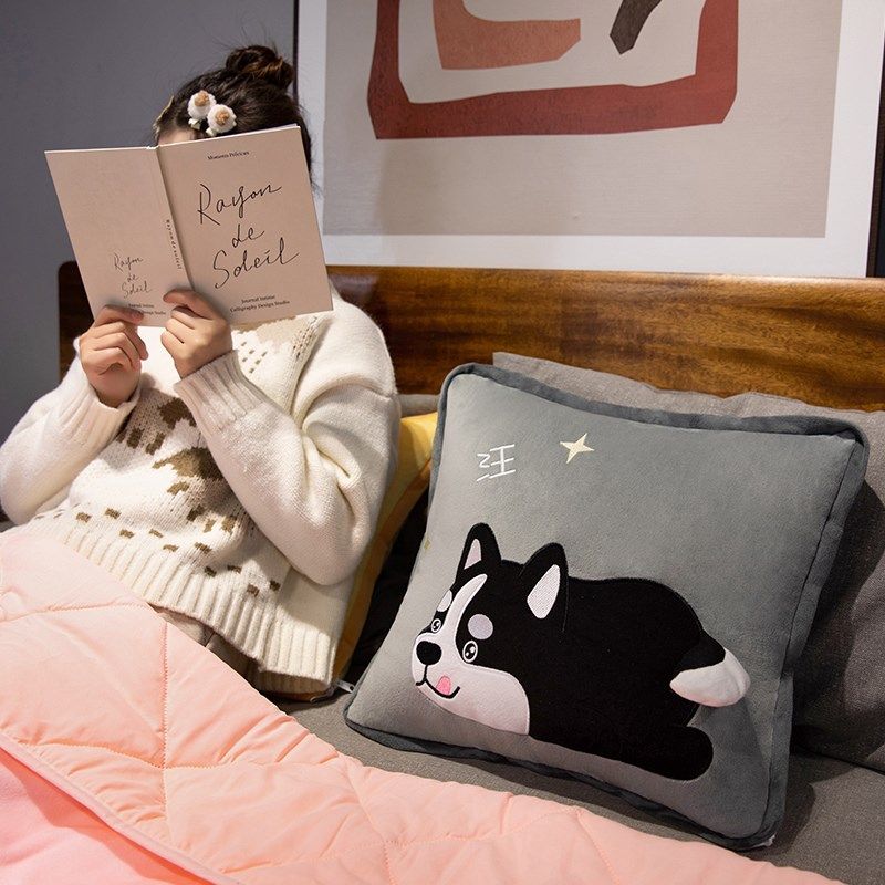 抱枕被子两用午休靠枕办公室午A睡枕头车载用空调珊瑚绒毯子二合,居家布艺,抱枕被,淘宝优惠券,粉丝福利购,淘宝优惠卷