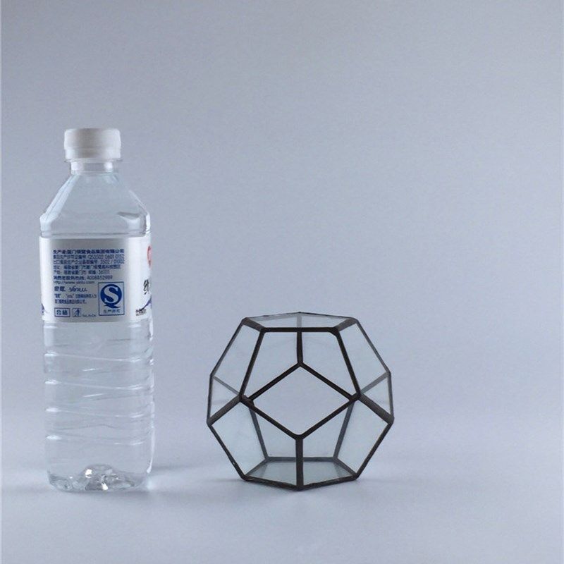 热卖欧式几何十二面体玻璃花房透D明创意绿植多肉花盆苔藓微景观,鲜花速递/花卉仿真/绿植园艺,花盆,淘宝优惠券,粉丝福利购,淘宝优惠卷