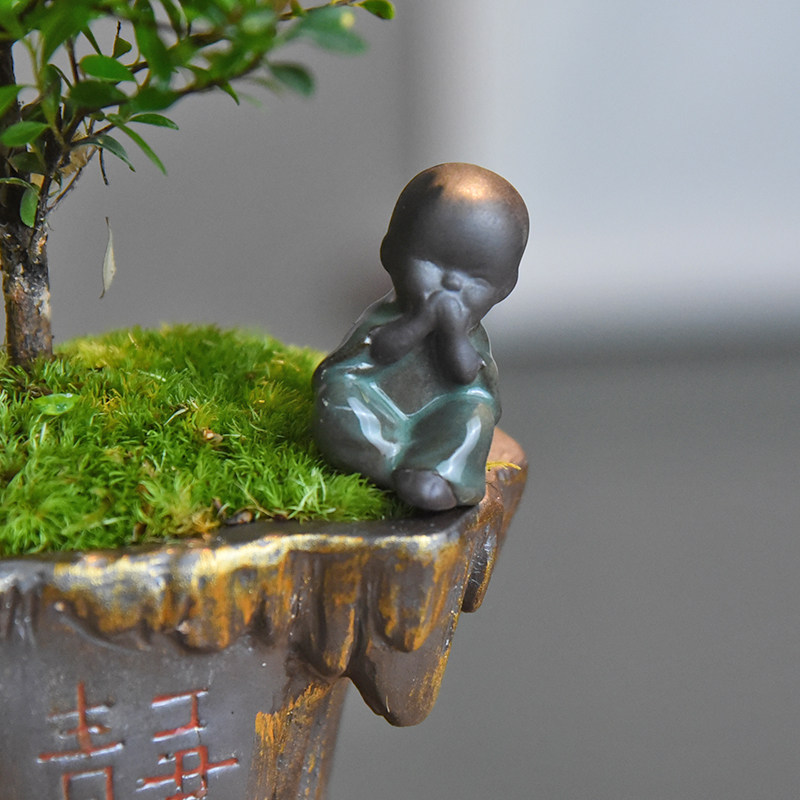 茶桌绿植小叶赤楠盆景老桩植物办公室内花卉O客厅四季常青懒人盆,鲜花速递/花卉仿真/绿植园艺,绿植,淘宝优惠券,粉丝福利购,淘宝优惠卷