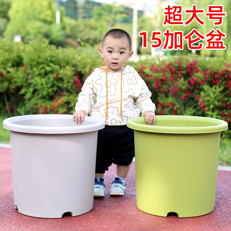 高款深型dceepot大口径家用塑料花盆特大号树脂月季控根盆15加仑,鲜花速递/花卉仿真/绿植园艺,花盆,淘宝优惠券,粉丝福利购,淘宝优惠卷
