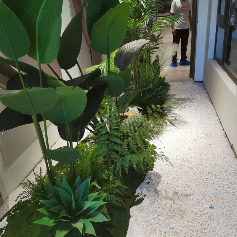 40斤装白色石子石头庭院景观铺路大鹅卵石鱼缸多S肉盆栽铺面石装,鲜花速递/花卉仿真/绿植园艺,其它园艺用品,淘宝优惠券,粉丝福利购,淘宝优惠卷