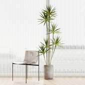 轻奢大型仿真绿植龙舌兰假植物盆栽室H内客厅装 饰家居落地盆景摆