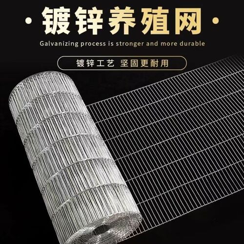 镀锌铁丝网网格隔离网养殖网防护栏鸡鸽兔笼阳台鸟笼X加粗长孔防