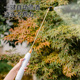 电动喷雾器c充电式 浇花浇水喷枪消毒家用新型小型喷 喷药机可携式