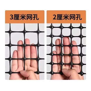 塑料网格土工格栅圈玉米网养鸡围网大棚I兜水网栅栏小孔养殖网护