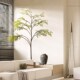仿真绿植橱窗造景室内玄关角落装 饰大型假树盆栽景观X高级仿生植
