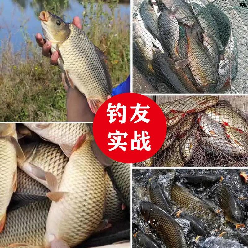 鲤鱼饵料野钓黑坑l水库鲤鱼专用饵红薯味鱼饵料一包单开配方鲤鱼