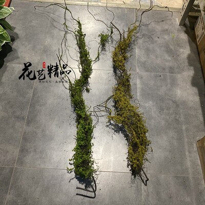 仿真树藤树枝树杈攀爬树枝枯藤枯C树枝苔藓青苔造景森林陈列花艺