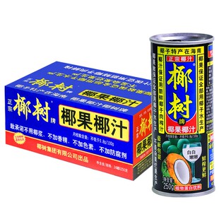 正宗椰树牌椰果椰汁250g*24罐装椰子汁椰奶椰浆果汁饮料年货礼盒