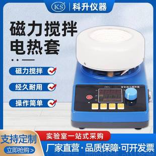 100 数显电热套ZNCL C50 1000智能数显磁力搅拌电热套 250 500