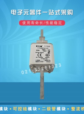 巴斯曼快速熔断器170M3208 3209 3210 3211 3212 3213 3214 3215