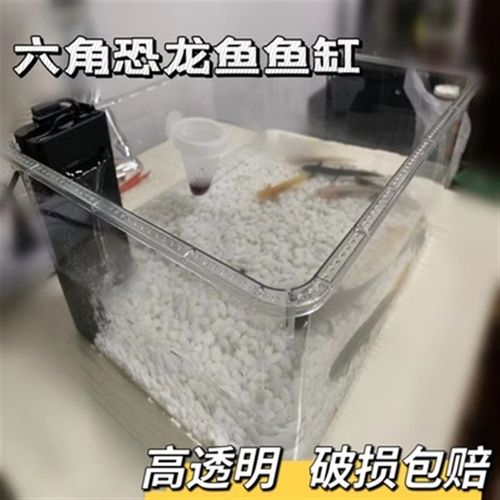 六角恐龙鱼的鱼缸蝾螈宠物专用饲养箱生态亚克力透明乌龟缸小螃蟹