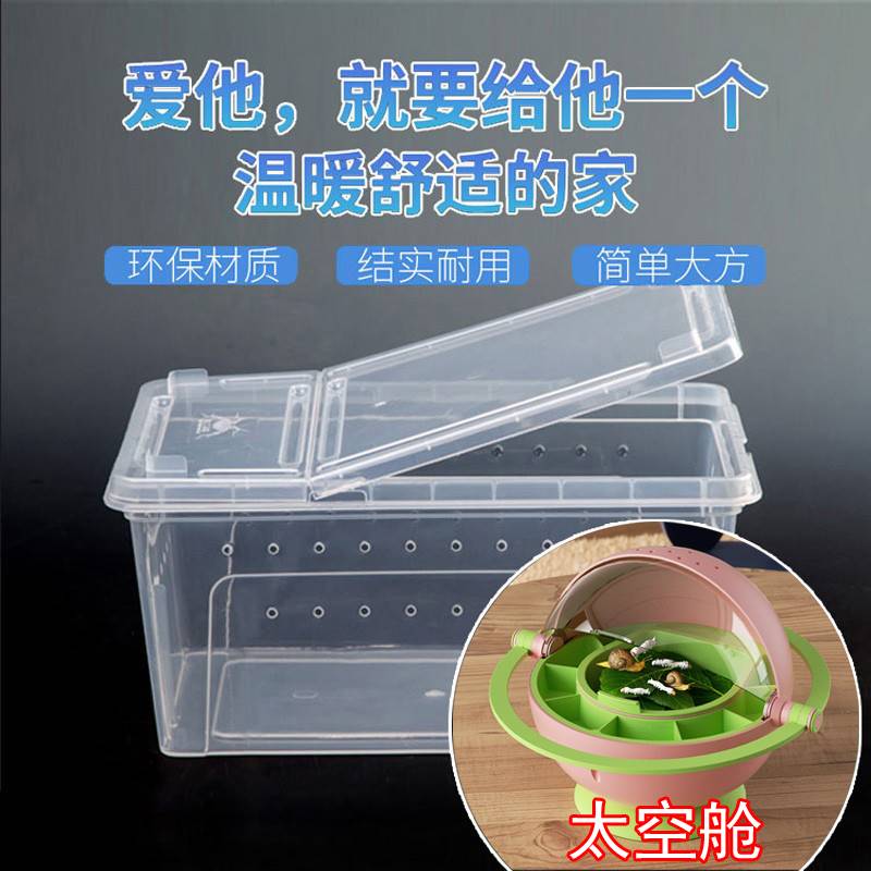 蚕宝宝学生养蚕套装养蚕专用工具儿童饲养箱盒装蚕宝宝的屋子房子