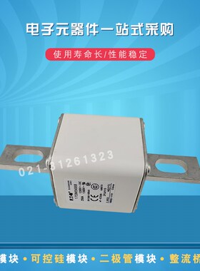 快速熔断器保险丝170M5664 5665 5666 5667 5668 5669 5690 5691