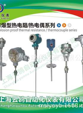 Pt00防爆热电阻WZP2-241直行管接头式防爆热电阻WZP-240GA级