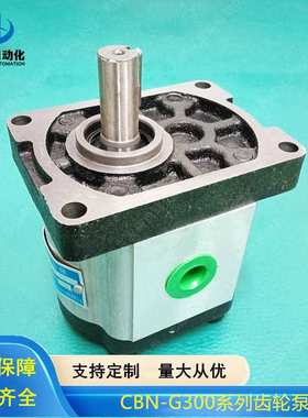 高压齿轮油泵CBN-G304-ALP CBN-G306 CBN-G308 CBN-G310 CBN-G312