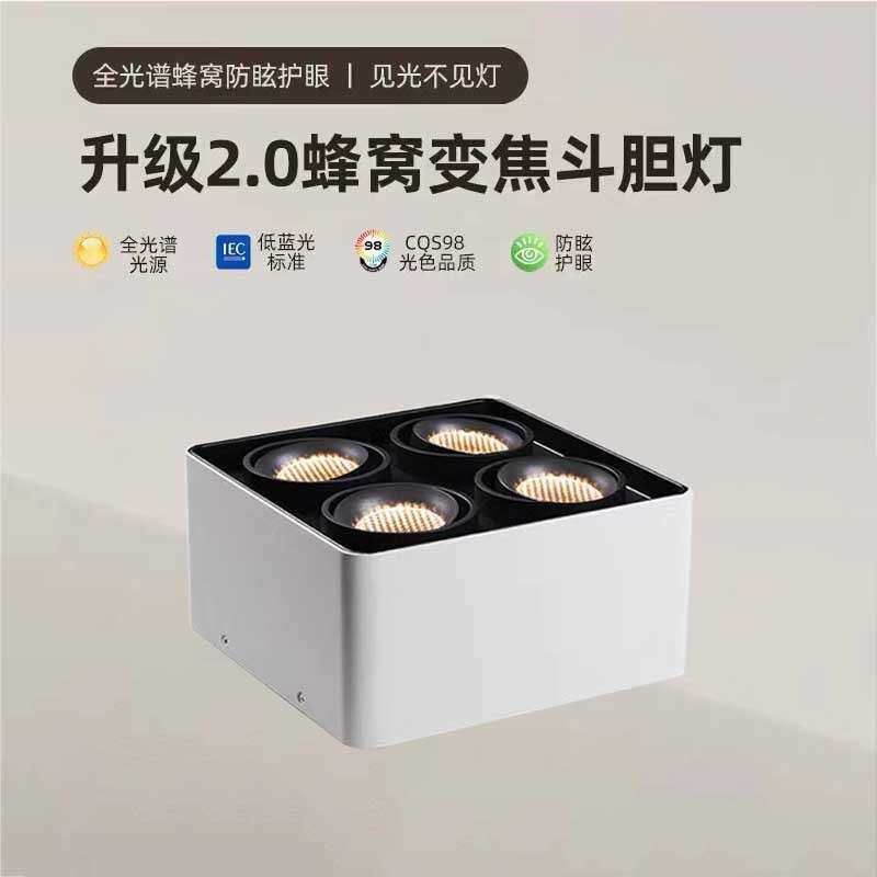 明装方形射灯双头斗胆灯led射灯双眼筒灯过道无主灯照明圆角灯