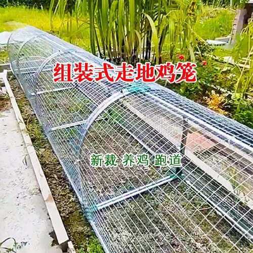 铁网鸡笼兔笼跑道养鸡隧道笼子农场户外溜达鸡笼子庭院农家用散养