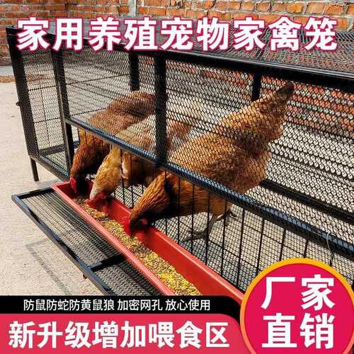 鸽子笼鸡笼家用兔笼养殖笼农村家禽鸡鸭鹅大号折叠加密铁丝网鸡舍