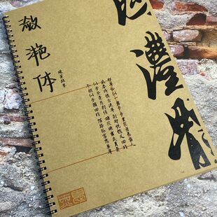 潋滟体小清新女生字体文案励志语录小说摘抄作文开头结尾字帖