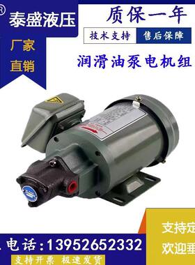 厂家直销摆线泵TOP-12a三角润滑泵电动机油齿轮油泵380V