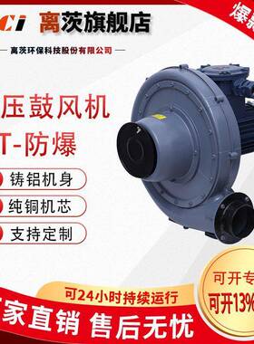 FT（BT4）防爆中压鼓风机透浦式风机铝合金防爆型风机吸尘